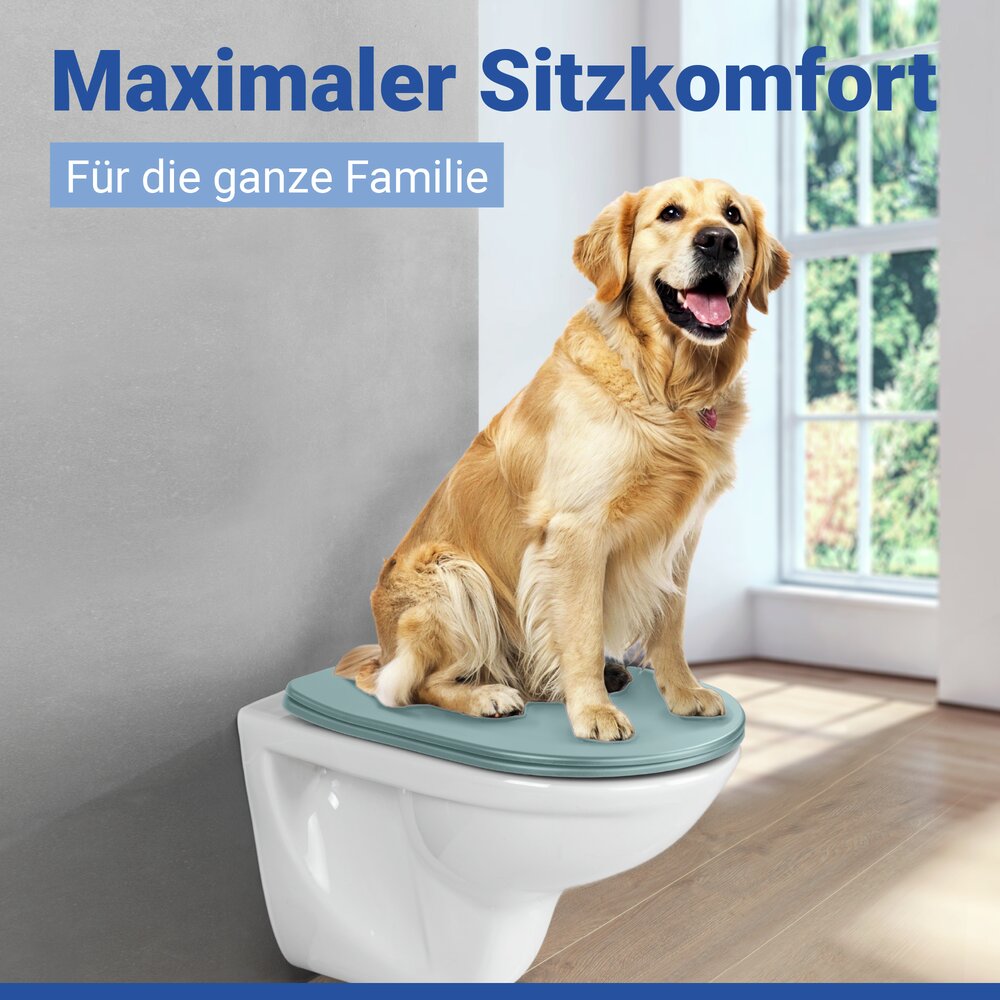 WC Sitz Mod. Galati Blaugrau matt  Toilettendeckel in D-Form mit Absenkautomatik