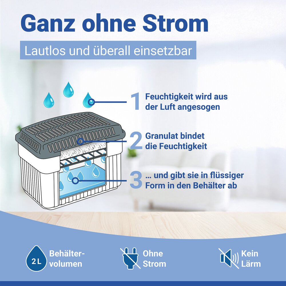 Luchtontvochtiger 1 kg grijs