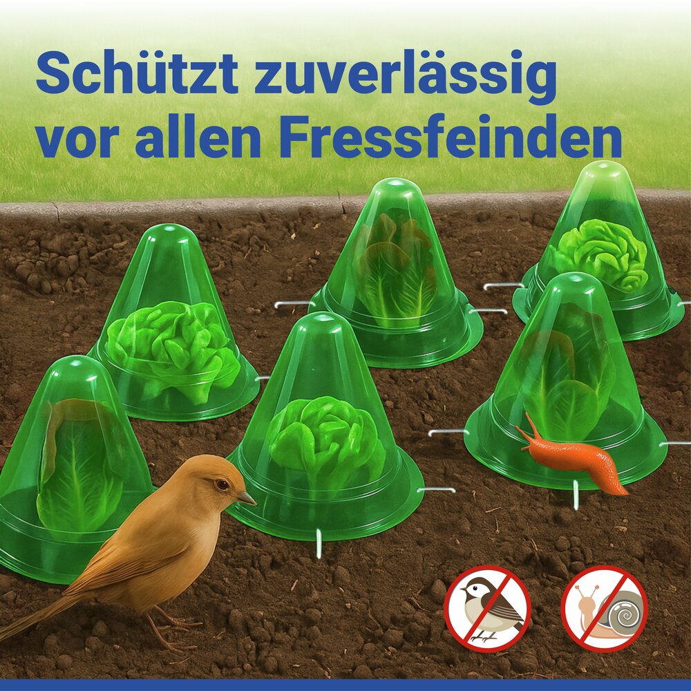 Pflanzenhut, 6er Set, inkl. 18 Heringen  schützt Setzlinge vor Witterung und Schädlingen