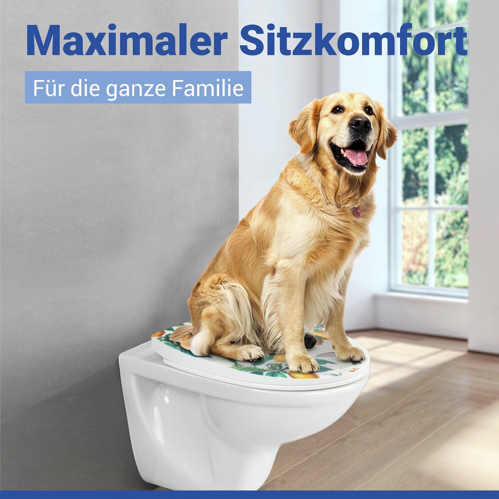 WC-Sitz Mod. Alberola  Toilettensitz mit Absenkautomatik und Relief-Druck