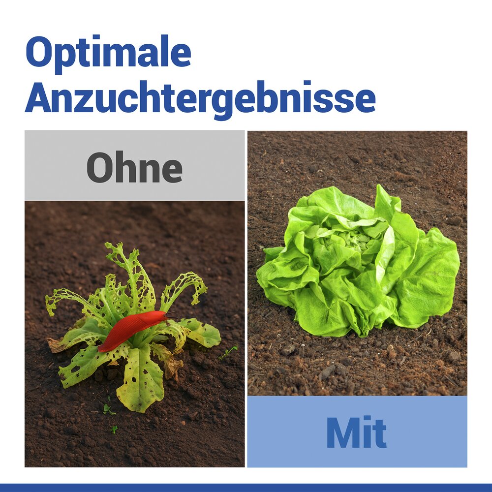 Pflanzenhut, 6er Set, inkl. 18 Heringen  schützt Setzlinge vor Witterung und Schädlingen