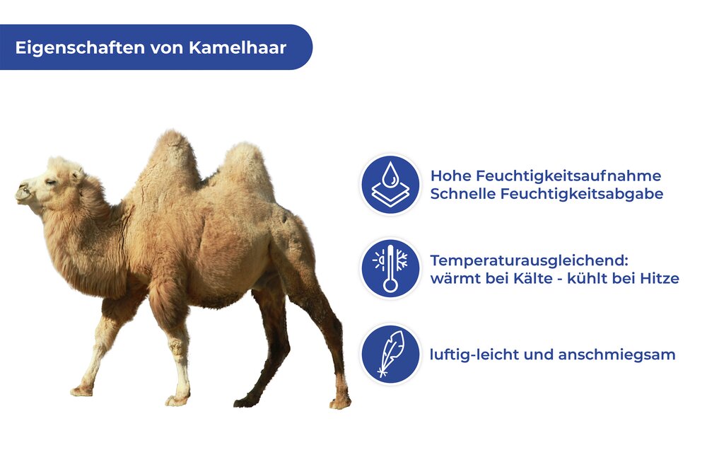 Bettdecke Kamel Haar  Decke mit natürlichem Temperaturausgleich