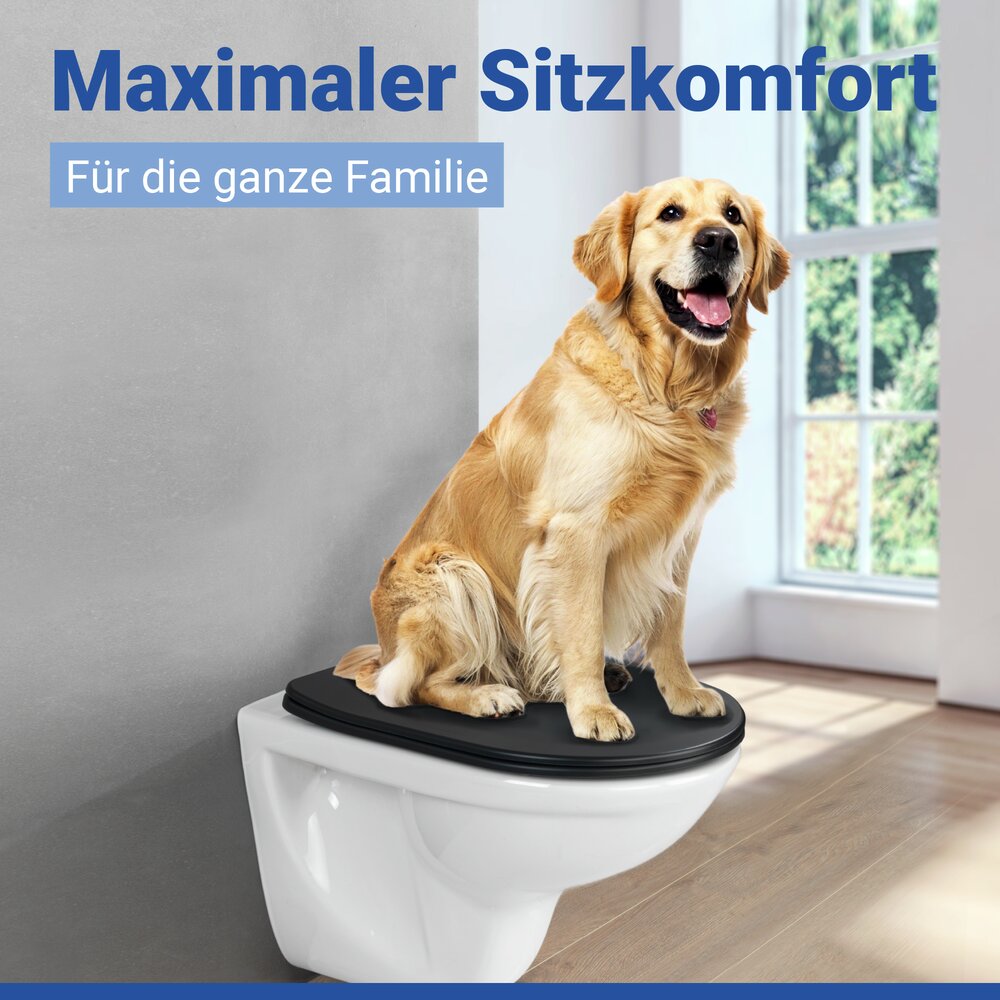 WC Sitz Mod. Galati Schwarz matt  Toilettendeckel in D-Form mit Absenkautomatik
