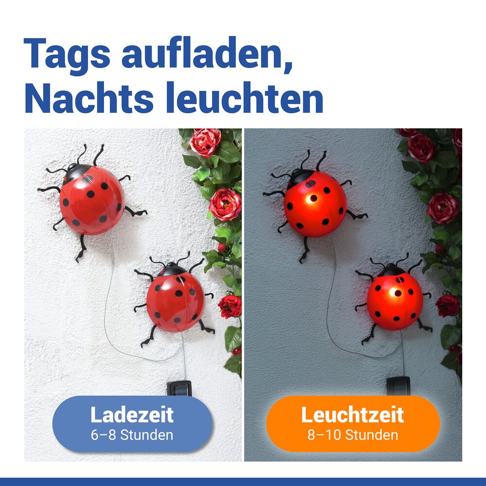 LED Solarleuchte Marienkäfer, 2er Set  dekorative Gartenbeleuchtung