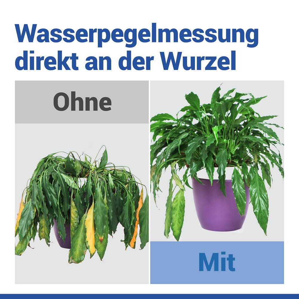 LED Feuchtigkeitsmesser für Pflanzen  Boden-Feuchtigkeitsmesser mit Ampelsystem