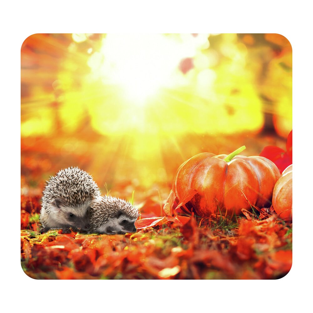 Multi-Platte Mod. Herbst  Abdeckung, Spritzschutz und Schneidebrett