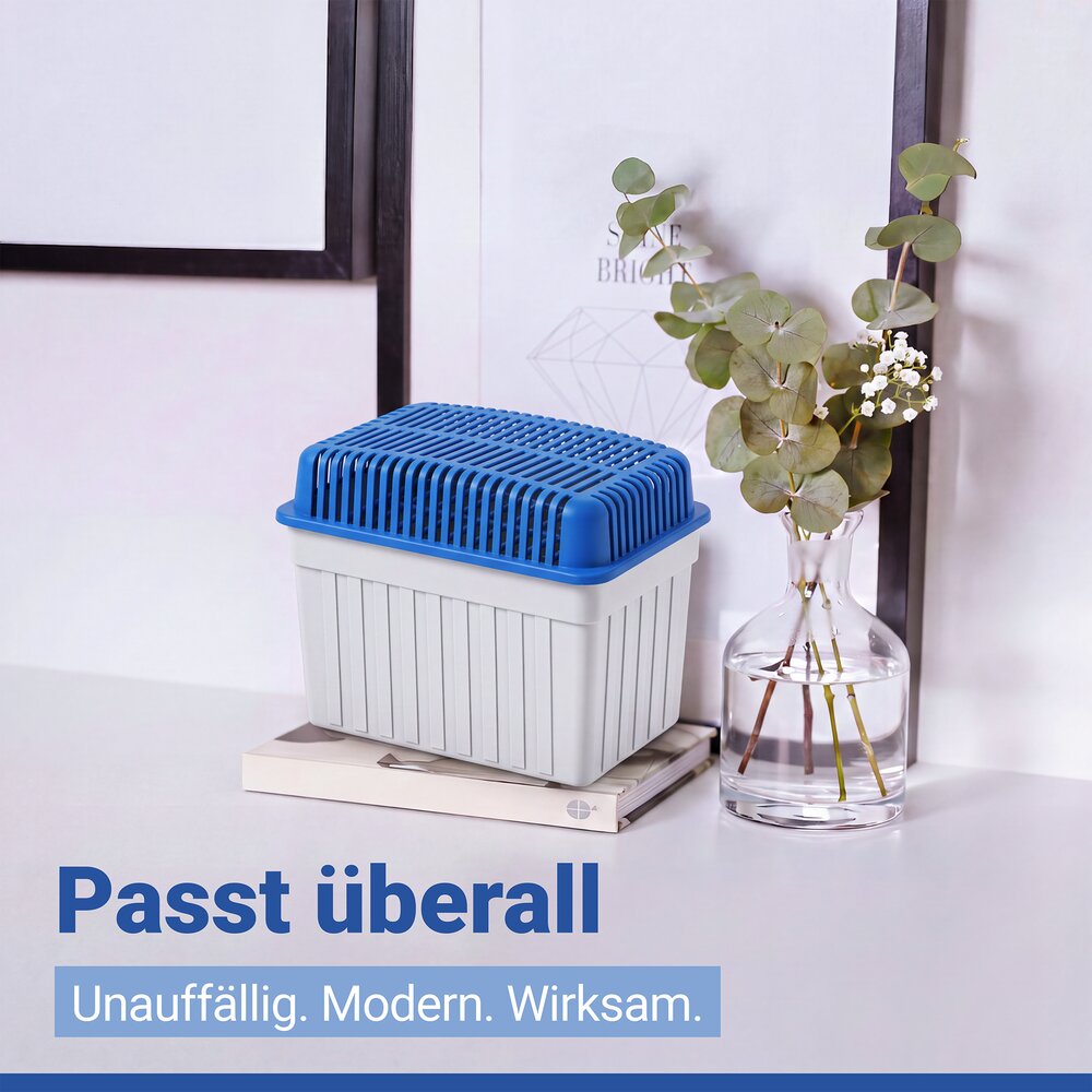 Luchtontvochtiger 1 kg blauw