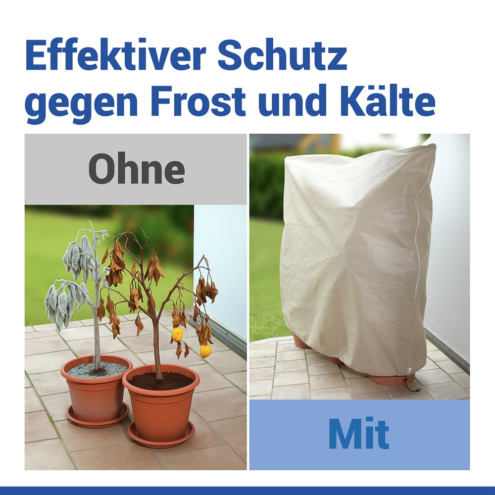 Pflanzenschutz-Vlies 200 x 240 cm, Beige  reißfestes Wintervlies für Pflanzen