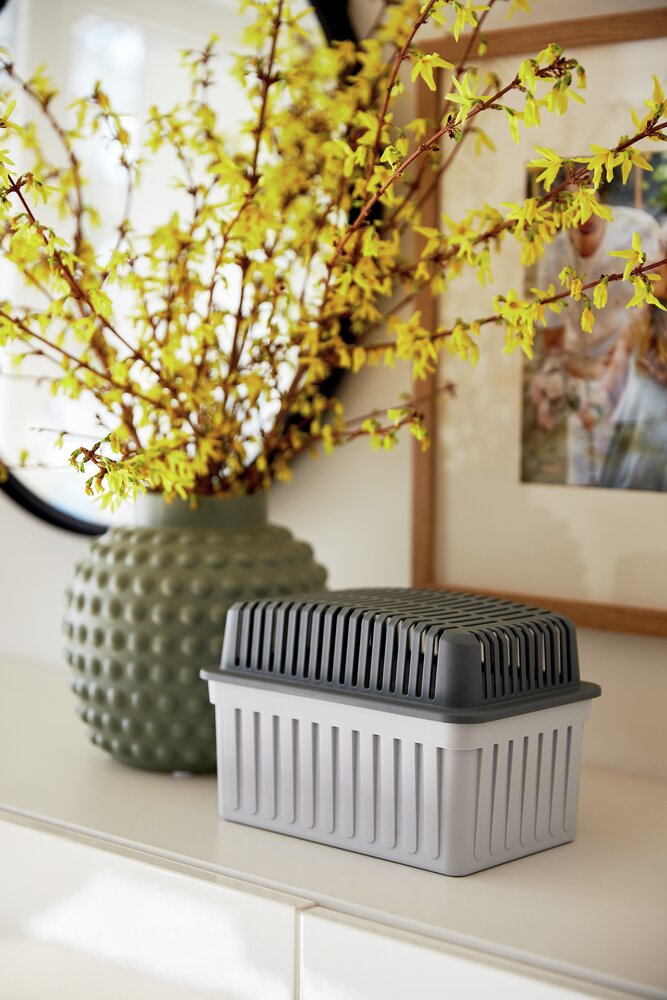 Déshumidificateur d'air 1kg, absorbeur d'humidité, 23x15x15 cm, Gris