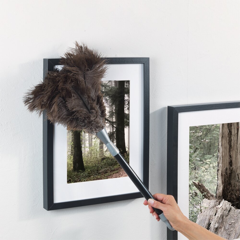 Teleskop Straußenfeder Staub-Magnet  wie ein Staubmagnet