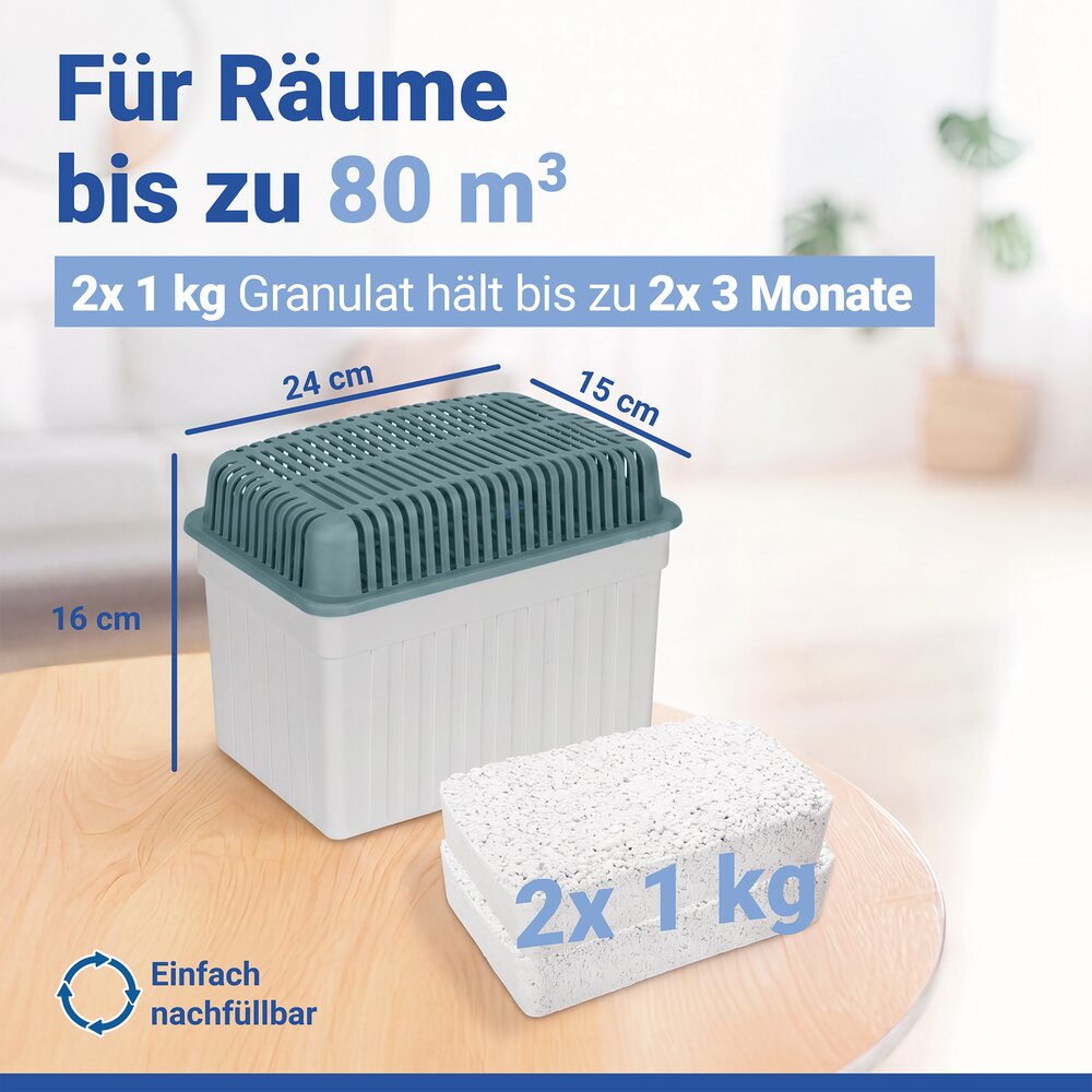 Luftentfeuchter 1 kg Grau, inkl. 1 Nachfüller  für Räume bis 80 m³