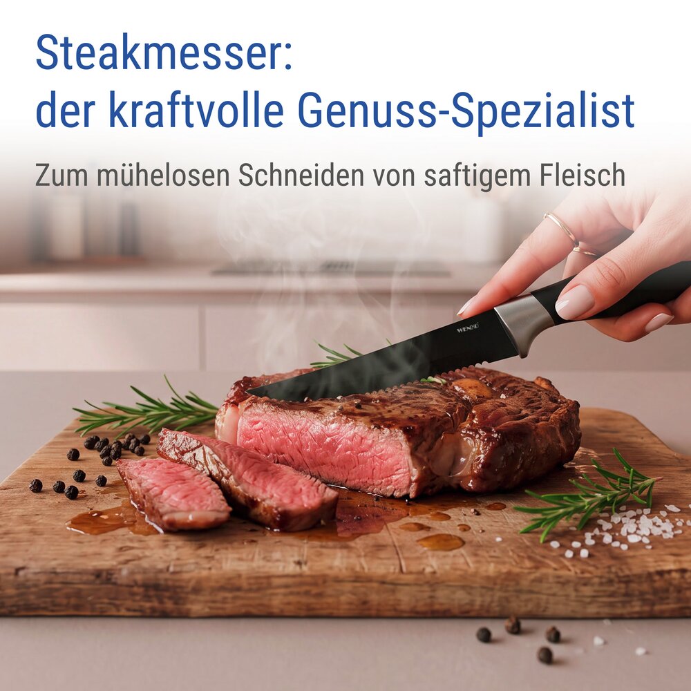 Steakmes Mod. Otis, zwart, set van 8