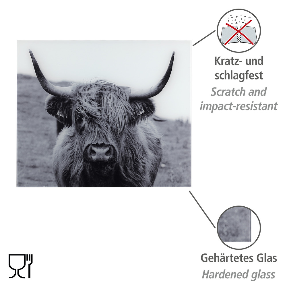 Glasrückwand Highland Mod. Cattle  Spritzschutz