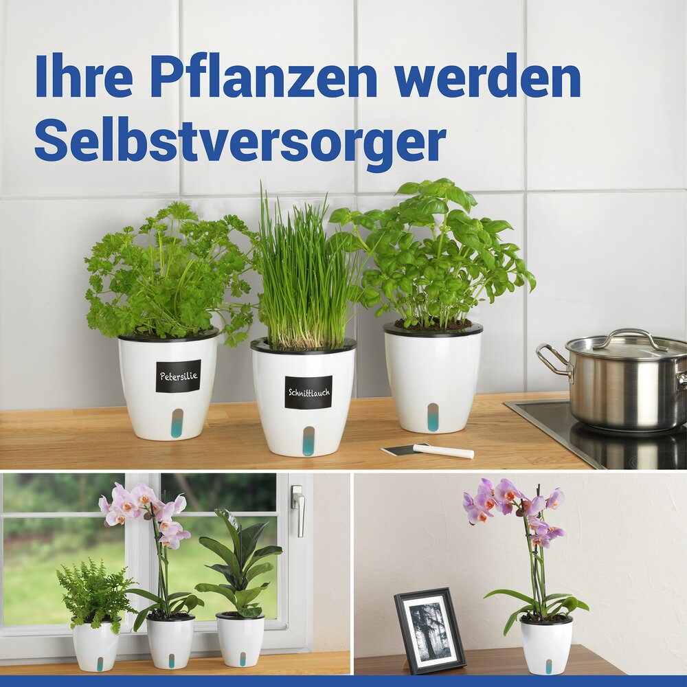 Selbstbewässernde Pflanztöpfe Ø 13 cm, 15-teilig  für automatische Pflanzenbewässerung