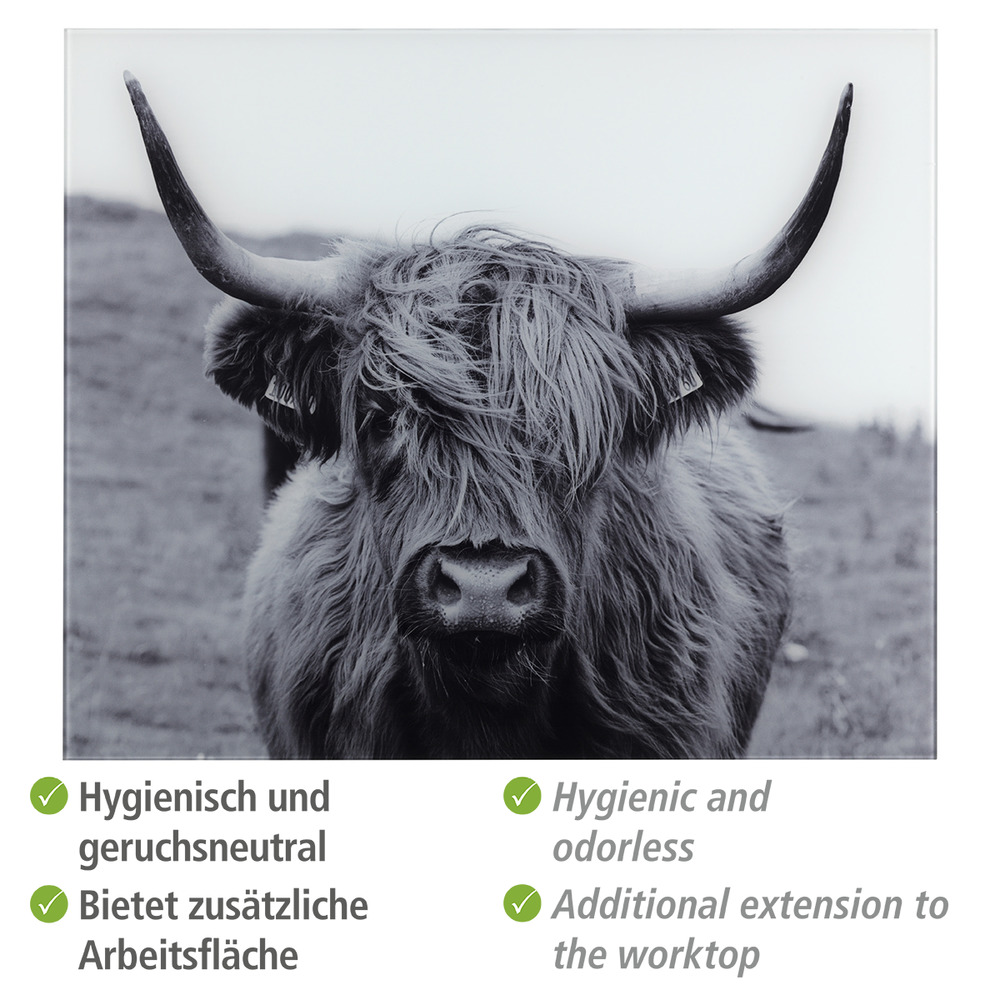 Glasrückwand Highland Mod. Cattle  Spritzschutz