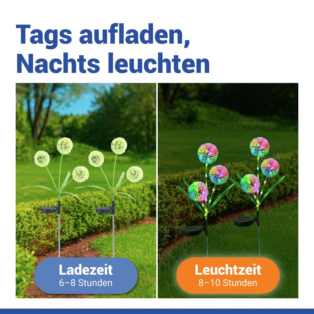 LED Gartenstecker Pusteblume Solar, 2er Set  solarbetriebene Gartenbeleuchtung