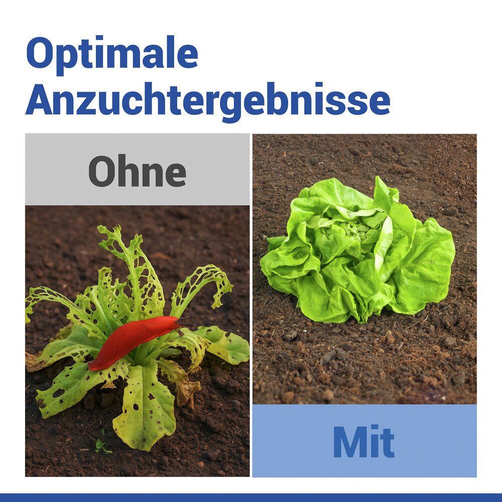 Pflanzendom 3in1, 15-teilig  Anzuchtglocke, Schneckenabwehr und Bewässerungsring