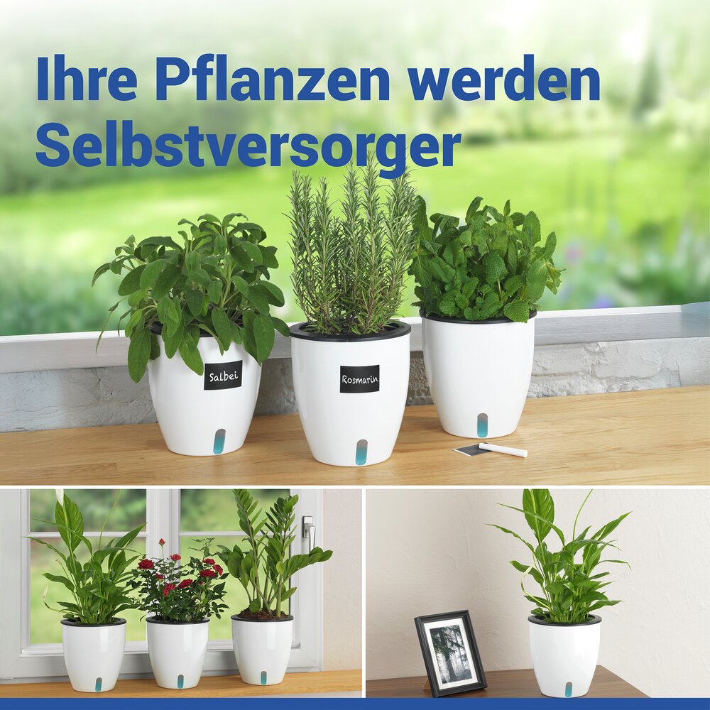 Selbstbewässernde Pflanztöpfe Ø 18 cm, 15-teilig  für automatische Pflanzenbewässerung