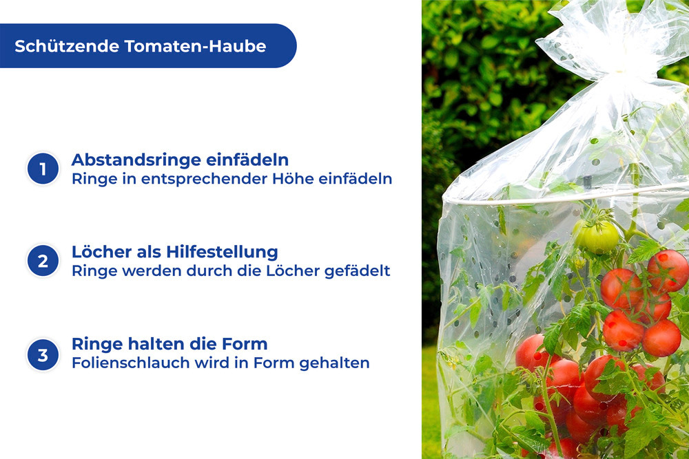 Tomaten-Haube, 2er Set  Ø 40 x 130 cm