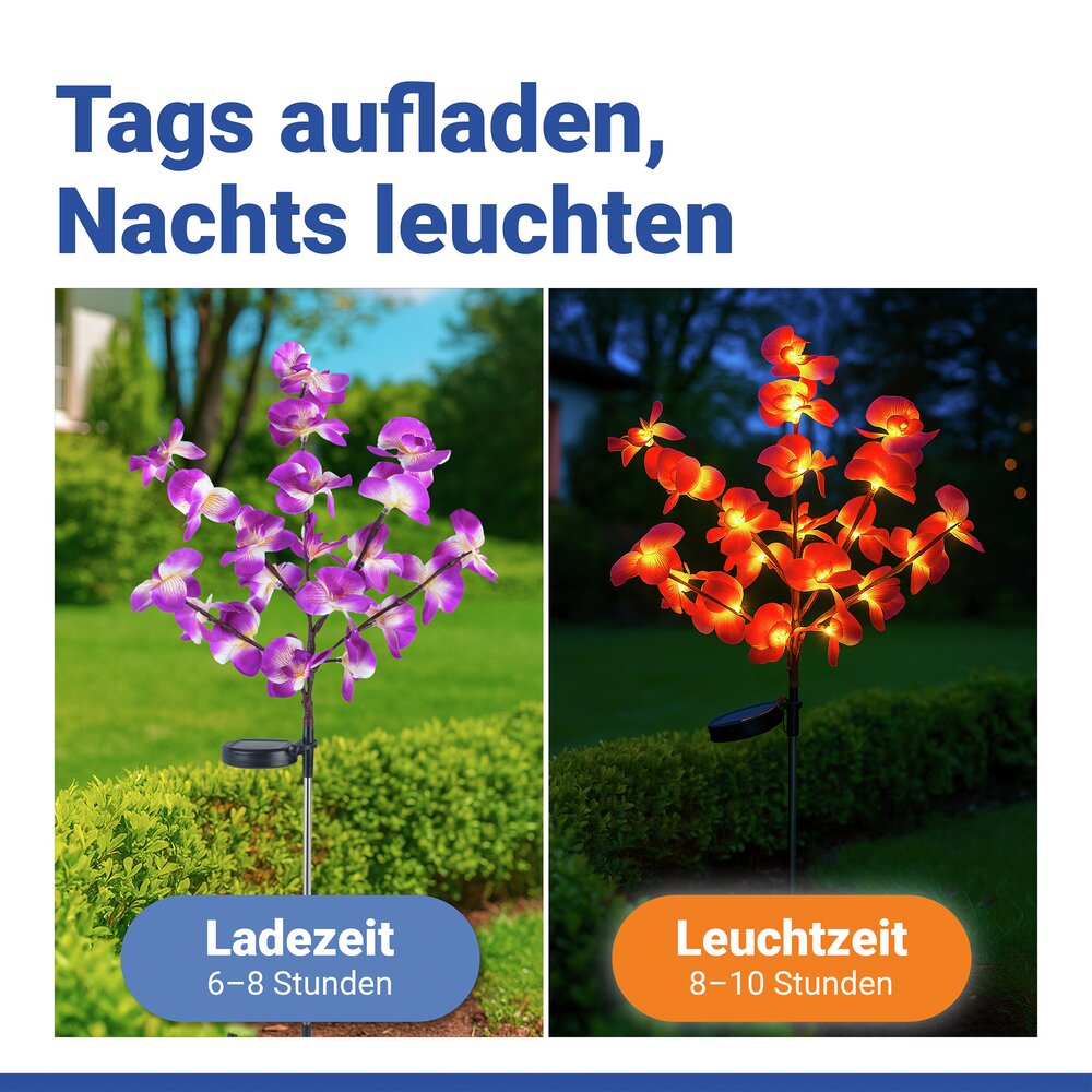 LED Gartenstecker Orchidee Solar, 2er Set  solarbetriebene Gartenbeleuchtung