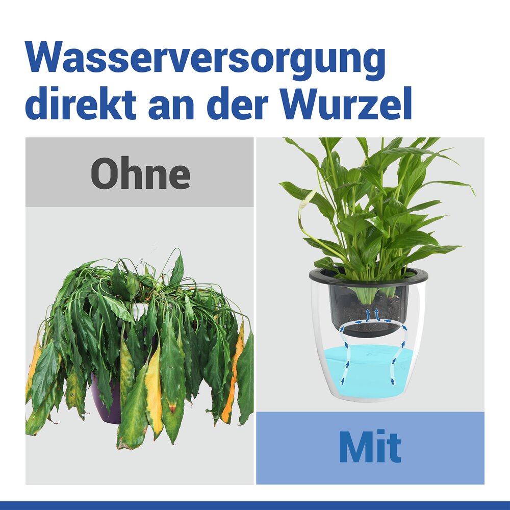 Selbstbewässernde Pflanztöpfe Ø 13 cm, 15-teilig  für automatische Pflanzenbewässerung