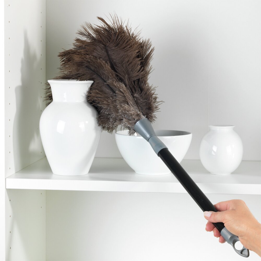 Teleskop Straußenfeder Staub-Magnet  wie ein Staubmagnet