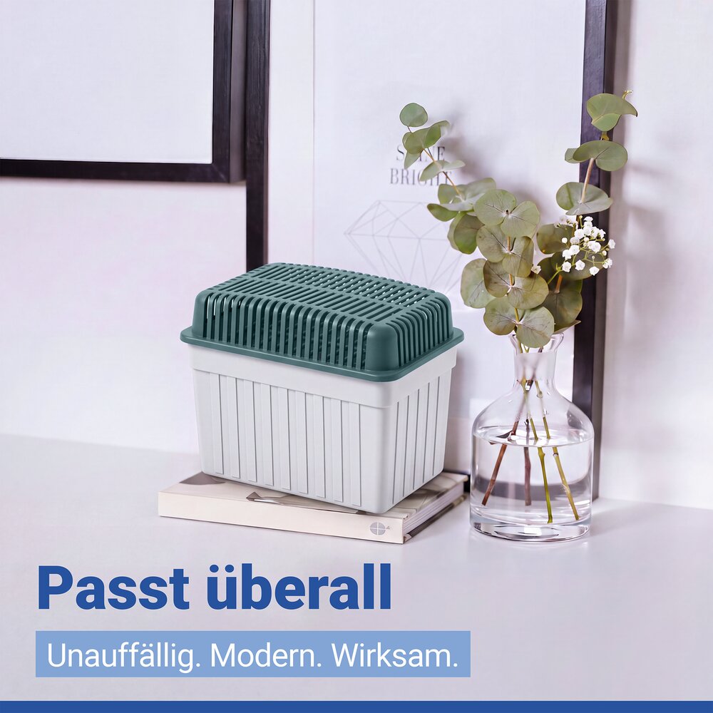Luchtontvochtiger 1 kg grijs