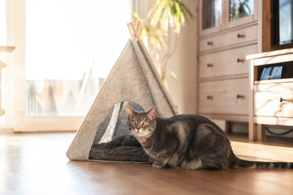 Filz-Tierbett Mod. Tipi Hellgrau  45 x 45 x 60 cm