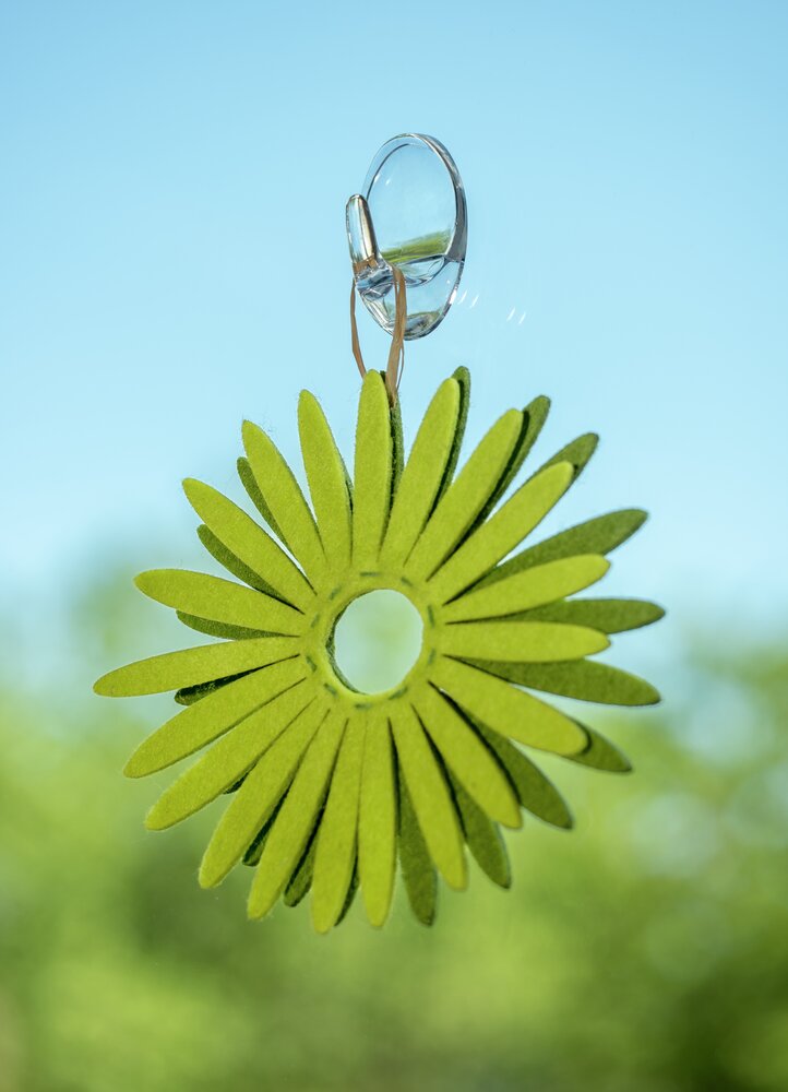 Maxihaken transparent 2er
