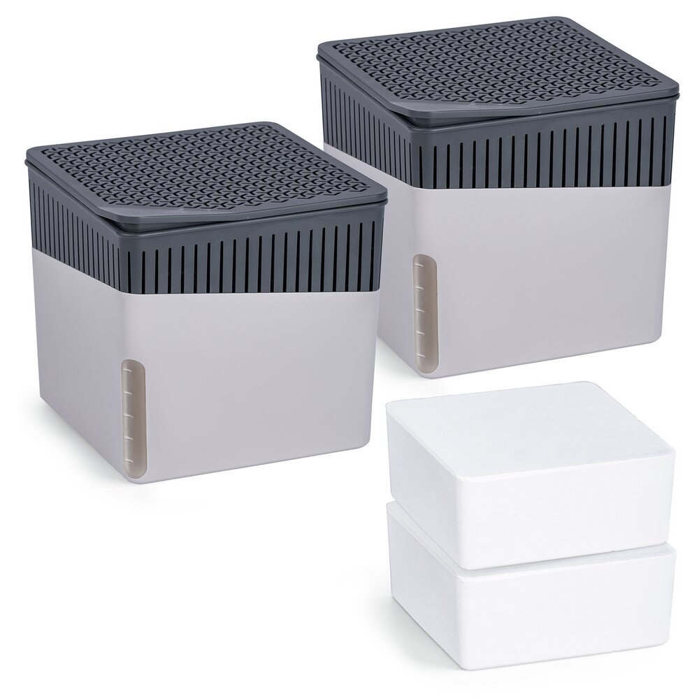 Raumentfeuchter Mod. Cube Grau 1000 g, 2er Set  beugt Schimmel und Gerüchen vor