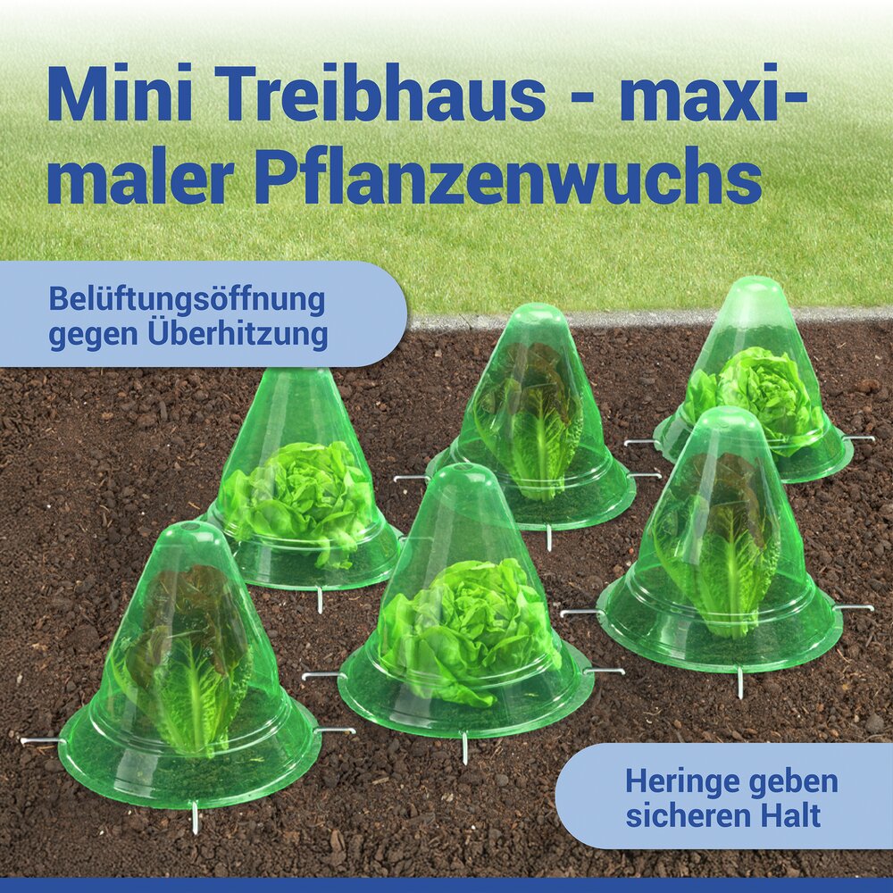 Pflanzenhut, 6er Set, inkl. 18 Heringen  schützt Setzlinge vor Witterung und Schädlingen