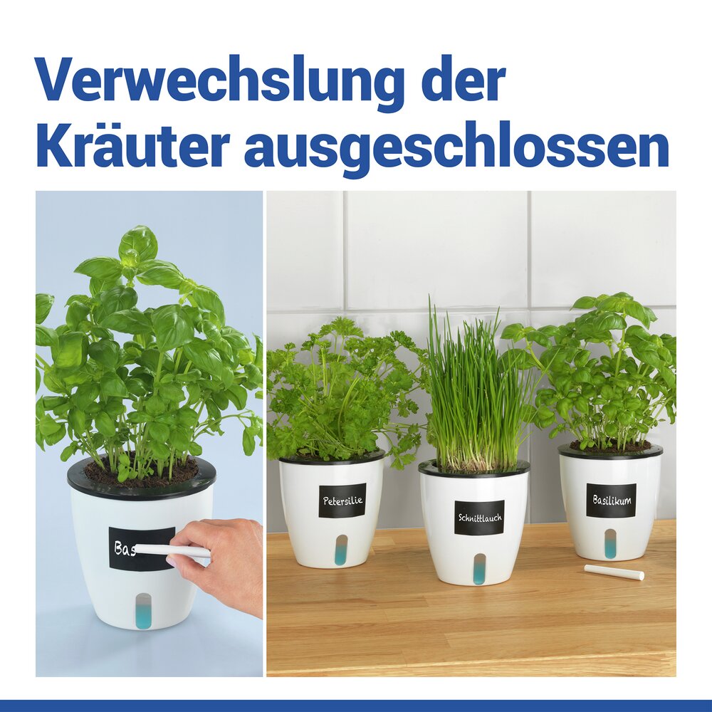 Selbstbewässernde Pflanztöpfe Ø 13 cm, 15-teilig  für automatische Pflanzenbewässerung