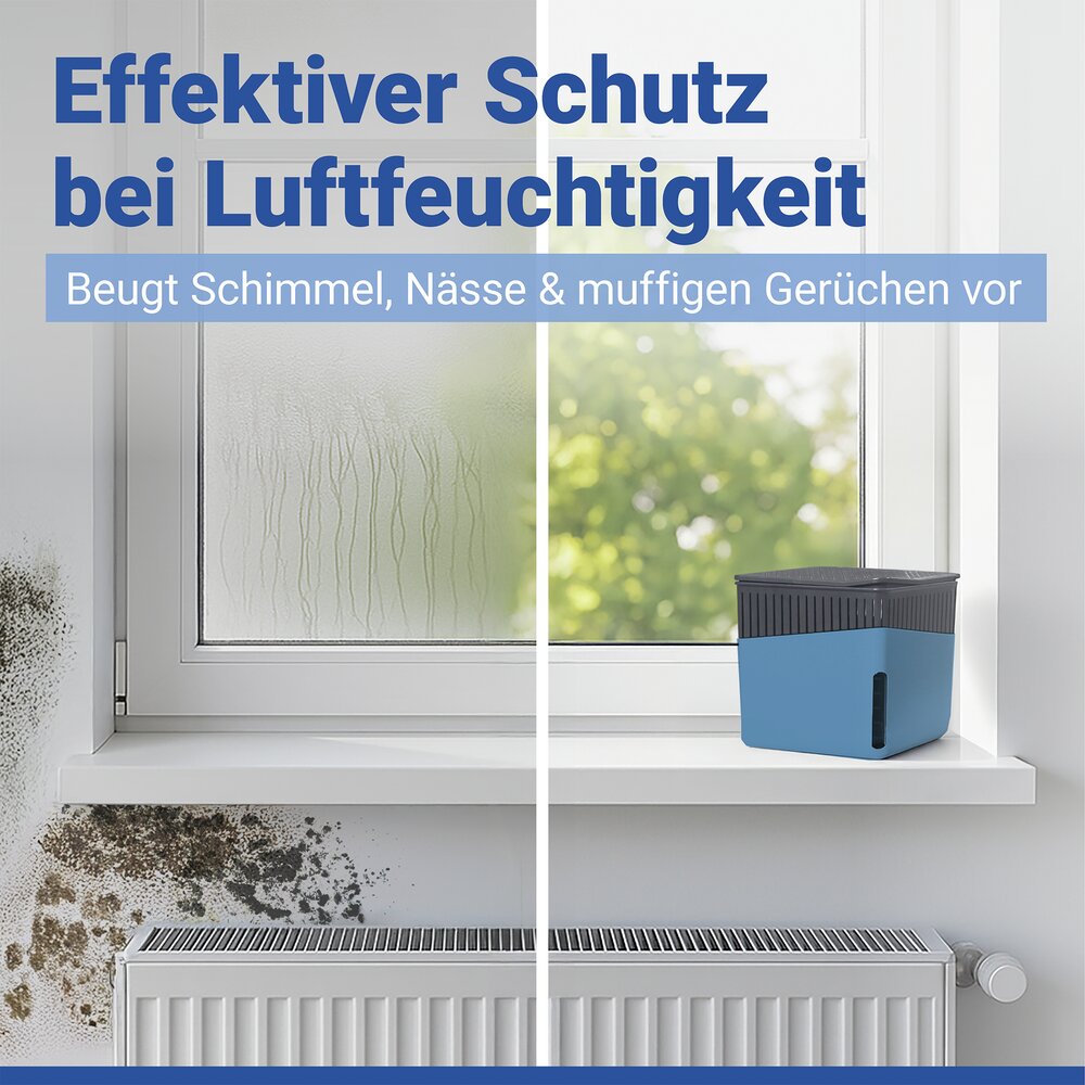 Raumentfeuchter Mod. Cube Blau 1000 g, 2er Set  beugt Schimmel und Gerüchen vor