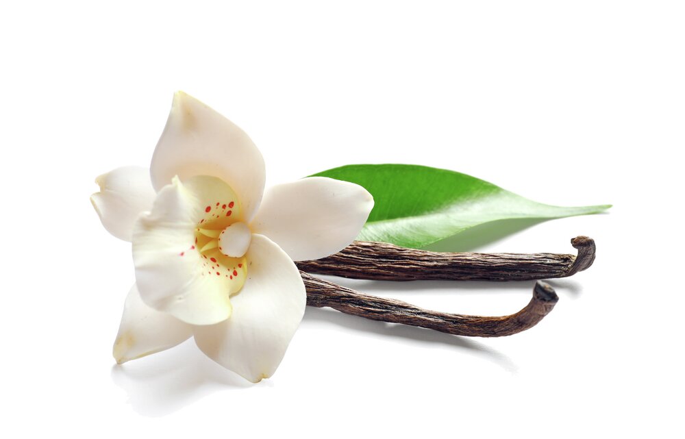 SCHÖNER WOHNEN-KOLLEKTION Raumduft Mod. Vanilla, 130 ml  nachfüllbar, langanhaltender Duft