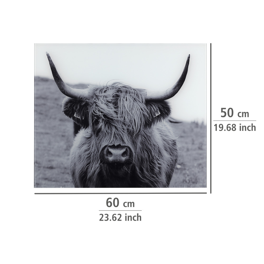 Glasrückwand Highland Mod. Cattle  Spritzschutz