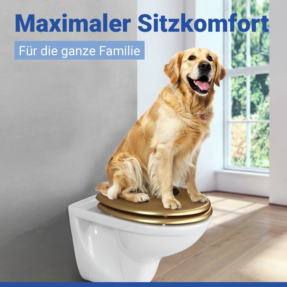 WC Sitz Mod. Aldeno Gold matt  Toilettendeckel aus foliertem MDF