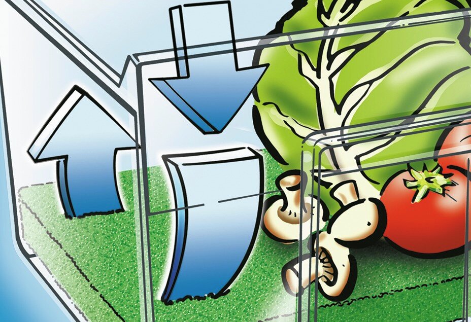 Coussin fruits & légumes  Protège aliments contre points de pression