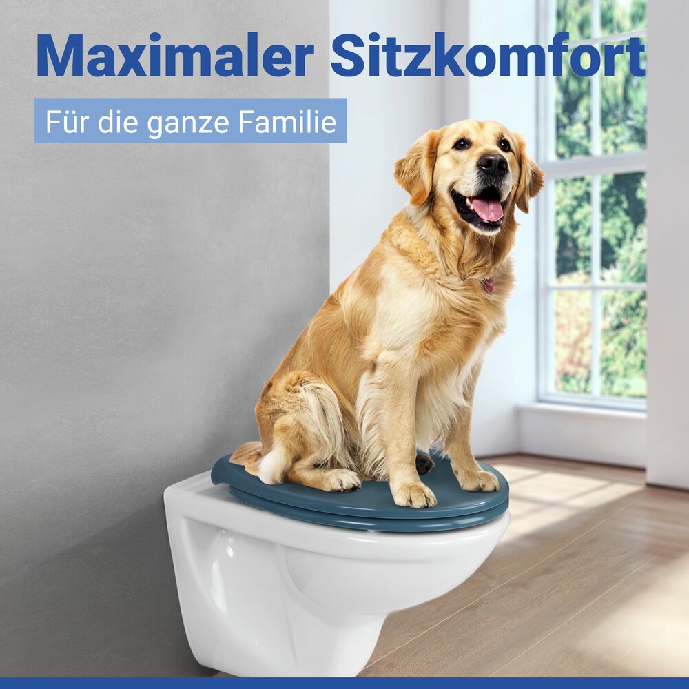 Abattant WC Samos Bleu Ardoise  abaissement automatique