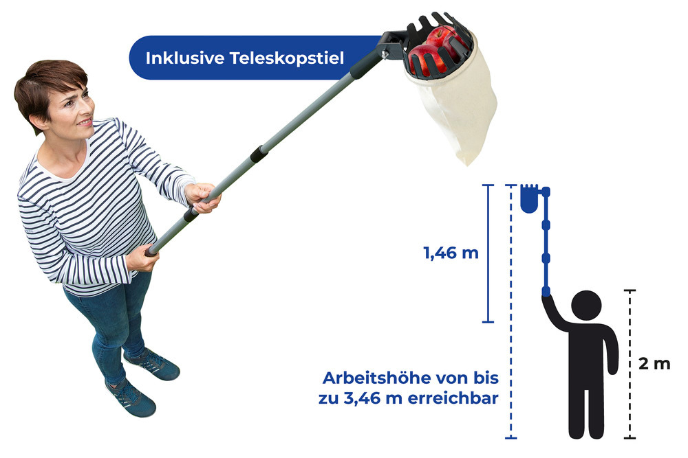 Obstsammler XL mit Teleskopstiel  mit ausziehbarem Teleskopstiel bis 3m Arbeitshöhe