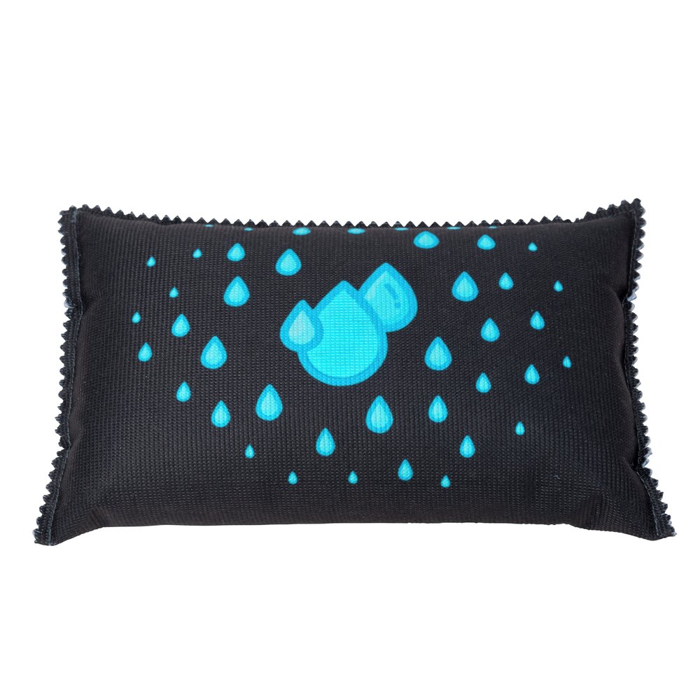 Déshumidificateur pour voiture 1kg 2 pièces  réutilisable