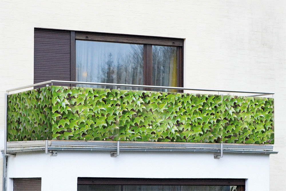 Sichtschutz Wilder Wein  für Balkon und Terrasse