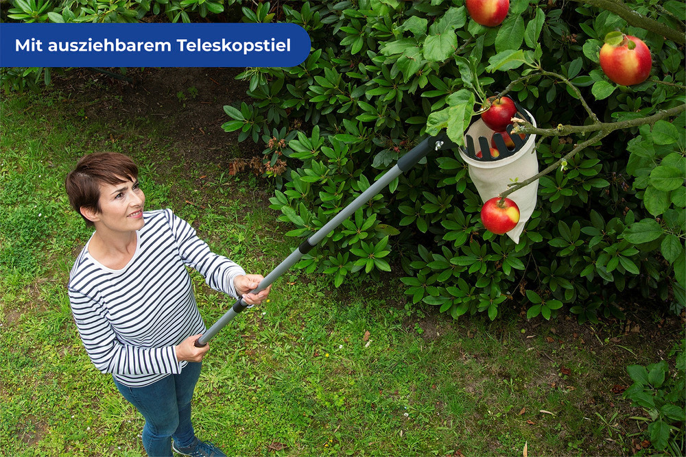 Obstsammler XL mit Teleskopstiel  mit ausziehbarem Teleskopstiel bis 3m Arbeitshöhe