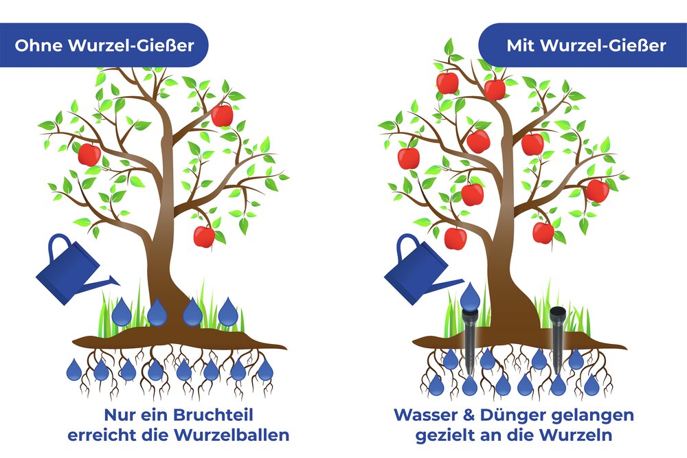 Wurzel-Gießer, 3er Set  Ø 5,5 x 30 cm