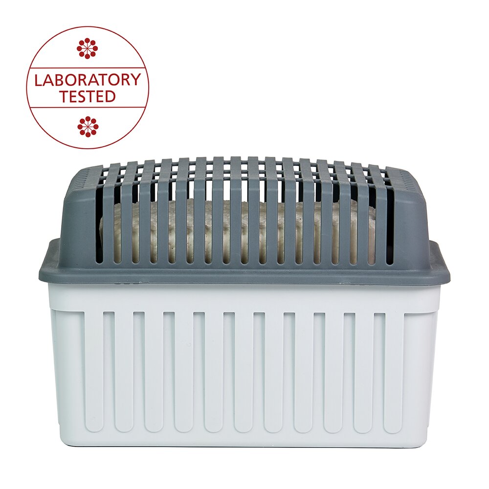 Déshumidificateur d'air 1kg, absorbeur d'humidité, 23x15x15 cm, Gris